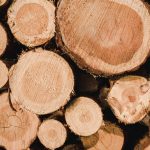 Tartak – Źródło Wyjątkowego Drewna: Twórz Z Pasją i Odpornością.